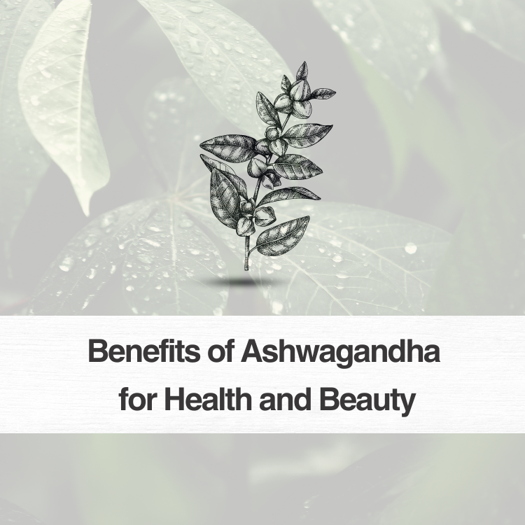 Powerful Benefits of Ashwagandha for Health and Beauty