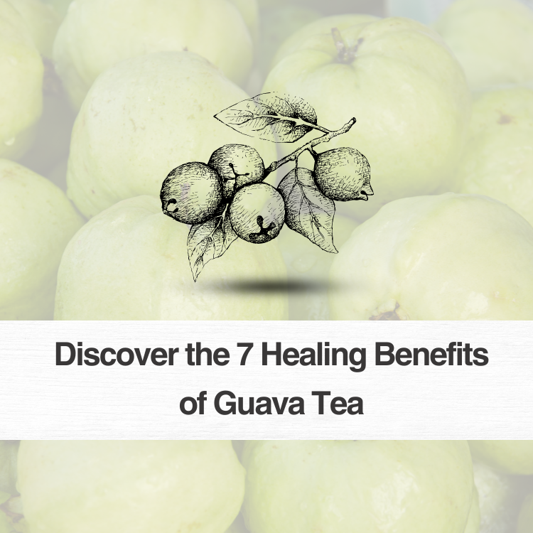 Discover the 7 Healing Benefits of Guava Tea