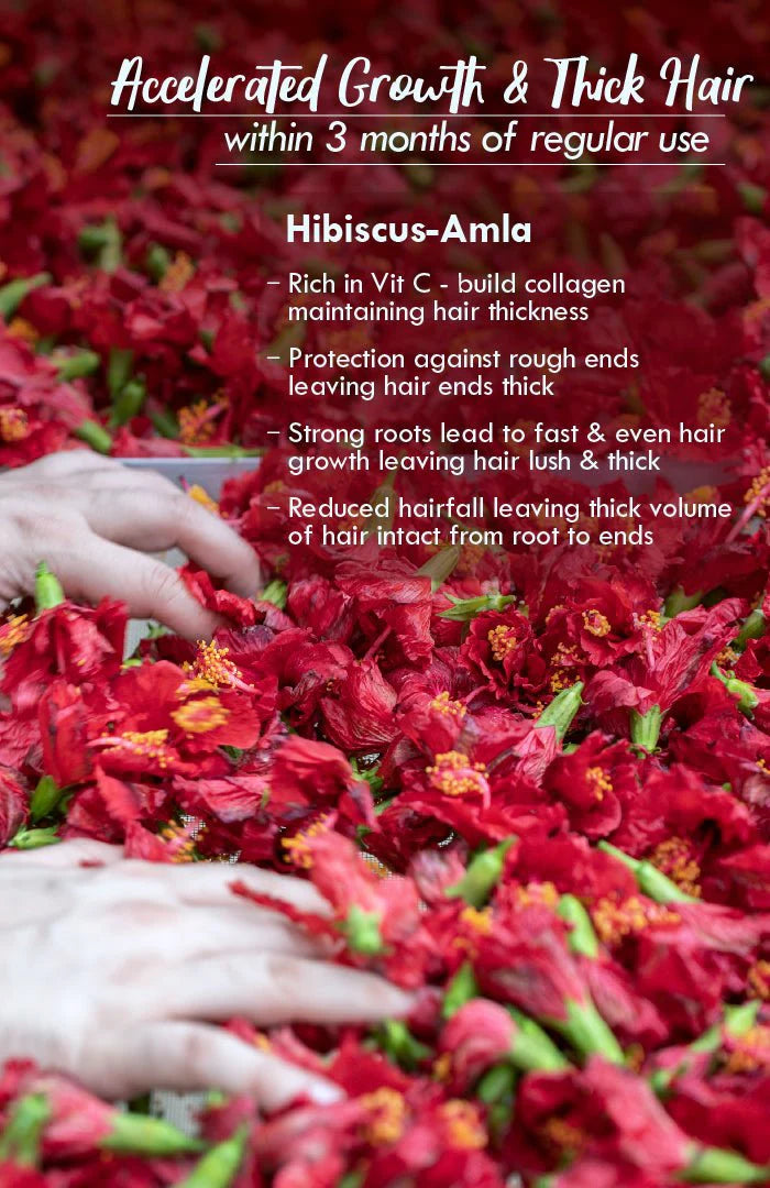 Hibiscus Oil